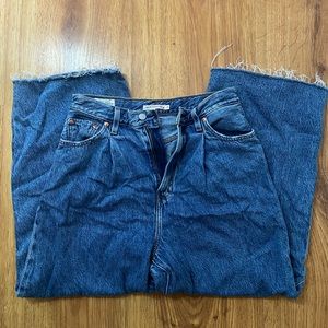 Pleated Levi Wide Leg Jeans